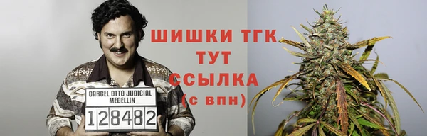 крисы Арсеньев