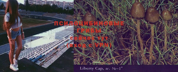 герыч Аркадак