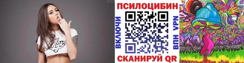 как найти закладки  Советская Гавань  Псилоцибиновые грибы Magic Shrooms 